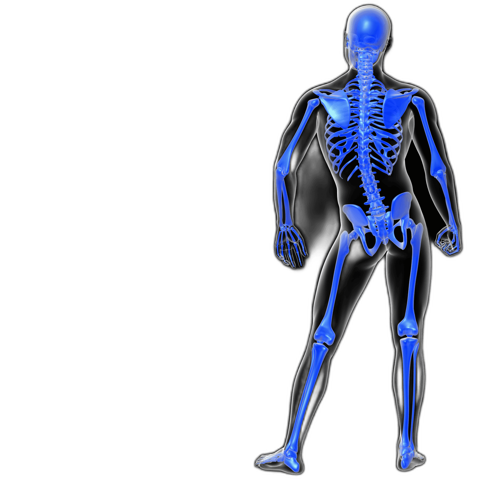 bone-profile-blood-test-at-499-healthcare-nt-sickcare