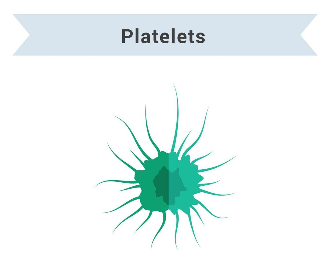 What is Low Platelet Count? Ways to Boost Low Platelet Count - healthcare nt sickcare