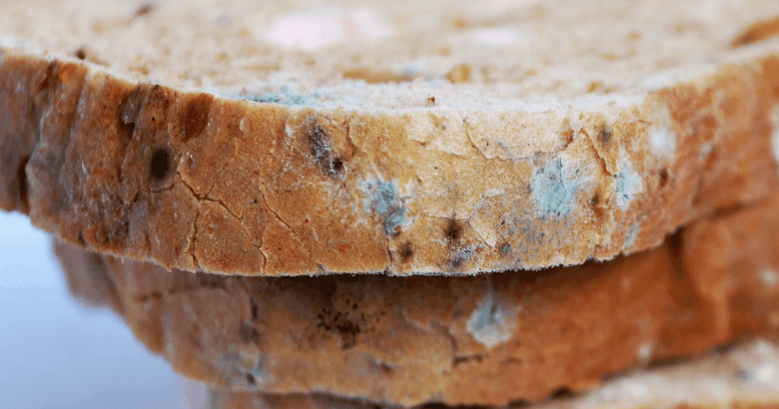 Mould on Food Causes, Test, and Treatment - healthcare nt sickcare