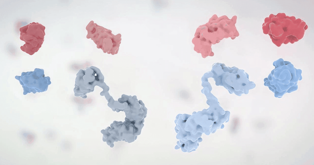 How Does ELISA Testing Work? A Versatile Immunoassay - healthcare nt sickcare