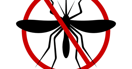 What are the Mosquito-Borne Viral Fevers? Testing for Mosquito-Borne Viral Fevers - healthcare nt sickcare