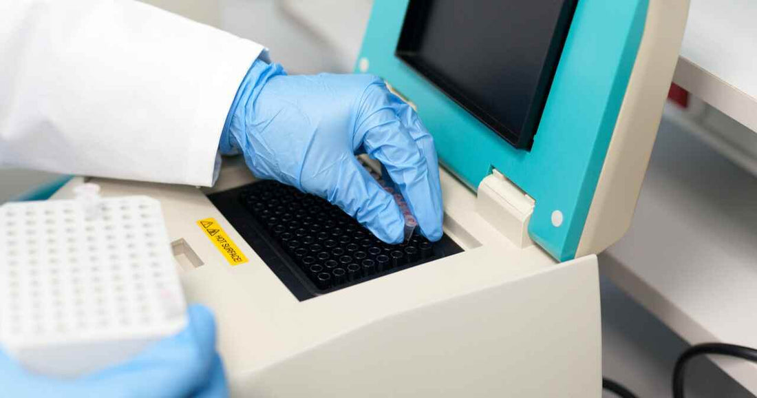 Differences Between PCR, RT-PCR and qPCR Targeted Amplification Techniques - healthcare nt sickcare