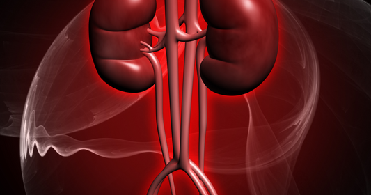 Expert Kidney Care Tips for a Healthy Life healthcare nt sickcare