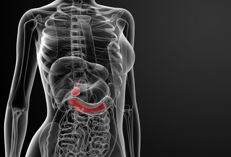 Gallbladder Disease Types, Symptoms and Diagnosis healthcare nt sickcare