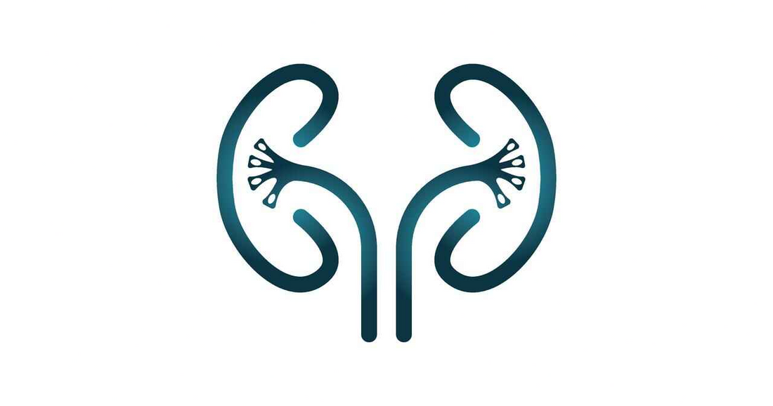 Kidney Care Tips from healthcare nt sickcare