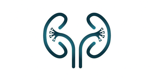 Kidney Care Tips from healthcare nt sickcare