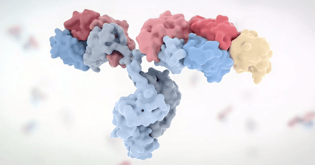 How To Measure Antibody Titer? Tests for Immunity Evaluation - healthcare nt sickcare