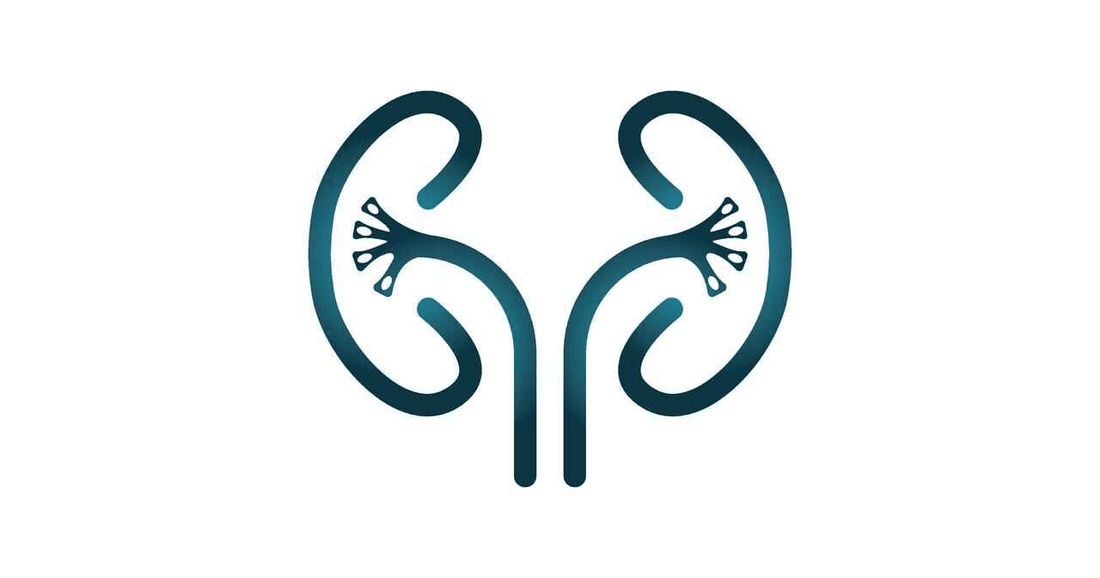 How to Test for Kidney Disease? - healthcare nt sickcare