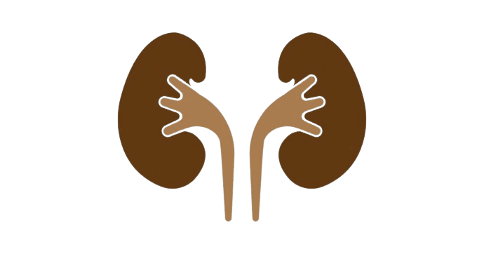 Blood Test for Kidney Disease - healthcare nt sickcare