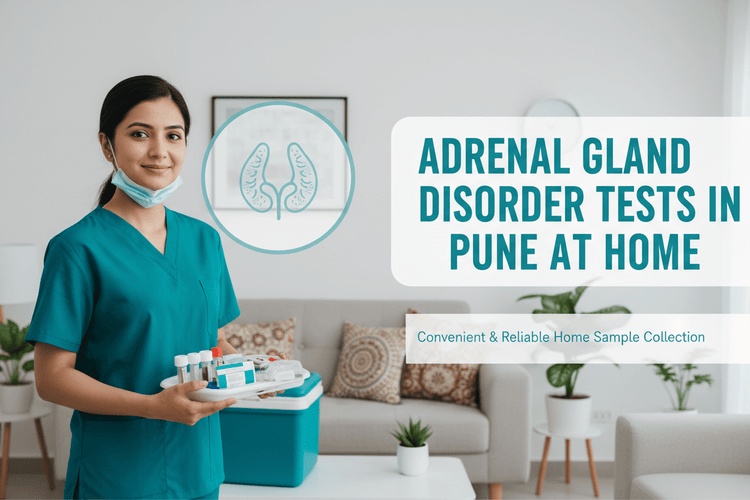 Adrenal gland disorder tests at home Pune with trained phlebotomist for convenient home sample collection.