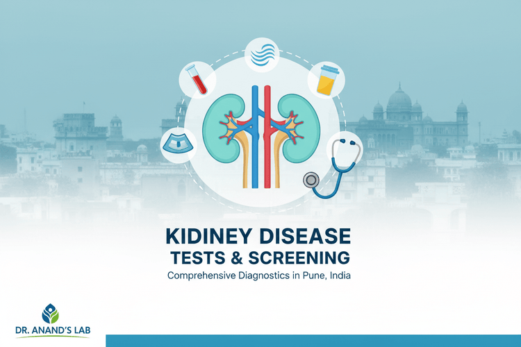 Kidney Disease Tests in Pune - Home Collection - healthcare nt sickcare