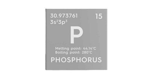 24 Hour Urinary Phosphorus Test - healthcare nt sickcare
