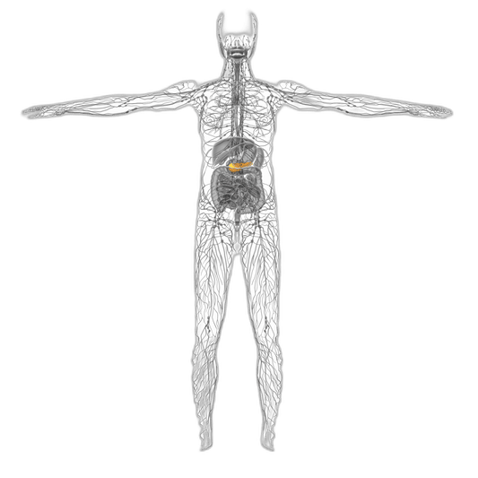 Amylase Test (Serum) - healthcare nt sickcare