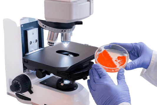 Anaerobic Culture and Susceptibility Test - healthcare nt sickcare