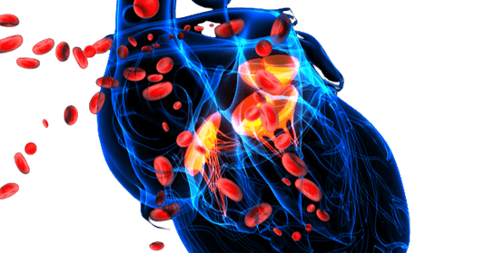 Apolipoprotein A1 Test - healthcare nt sickcare