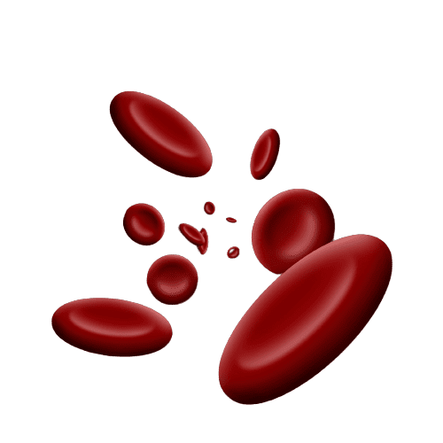 Beta 2 Glycoprotein 1 IgG Test - healthcare nt sickcare