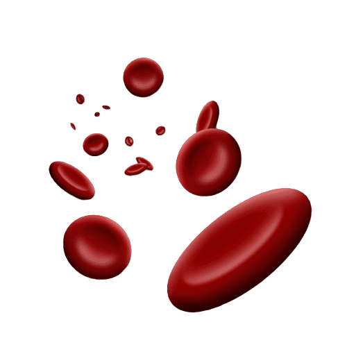 Beta 2 Glycoprotein 1 IgM Test - healthcare nt sickcare