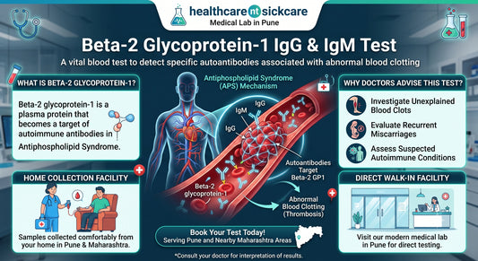 Beta-2 Glycoprotein-1 Antibody Test Pune IgG and IgM Test