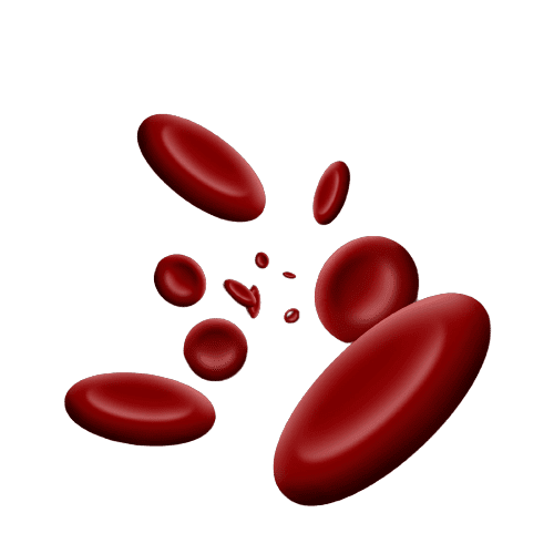 Blood Clotting Profile Test (Coagulation Panel) - healthcare nt sickcare