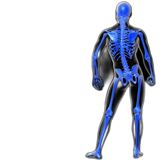 Bone Profile (Blood) Test - healthcare nt sickcare