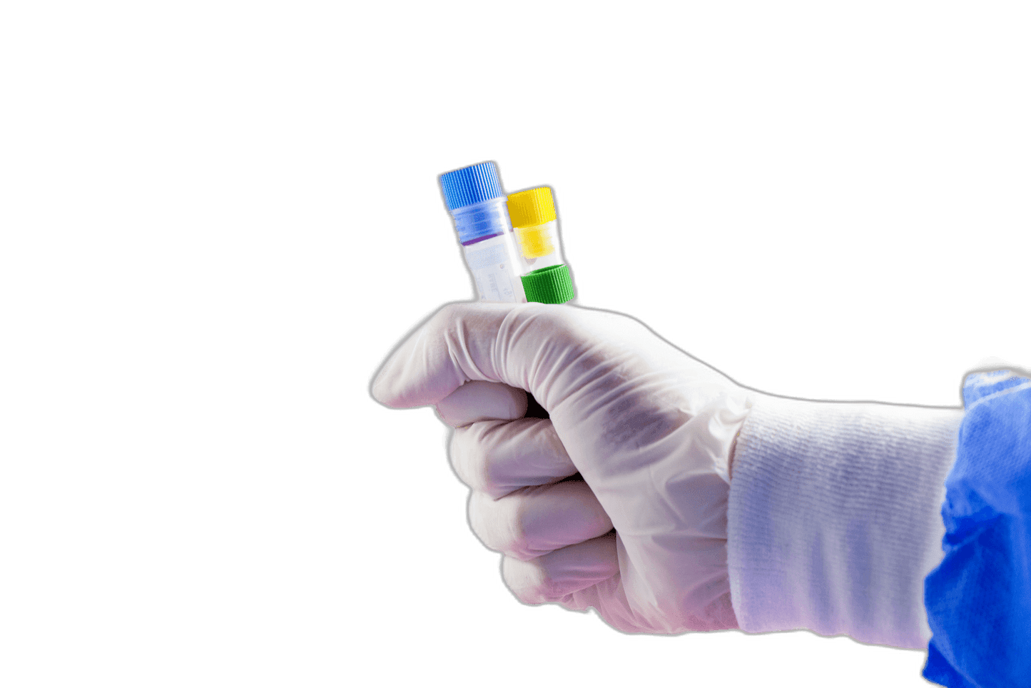 CBC LFT KFT Lipid Test - healthcare nt sickcare