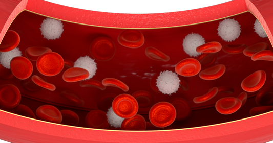 CD23 Test - healthcare nt sickcare