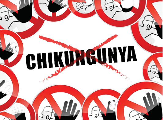 Chikungunya Combo Test (Rapid Antibodies) - healthcare nt sickcare