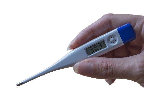Chikungunya IgM Test - healthcare nt sickcare