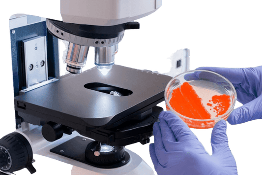 Entamoeba Histolytica IgG Antibody Test (Amoebiasis) - healthcare nt sickcare