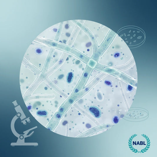 Fungal Stain KOH Mount Test in Pune Book Online