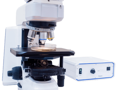 Gram Stain Test - healthcare nt sickcare