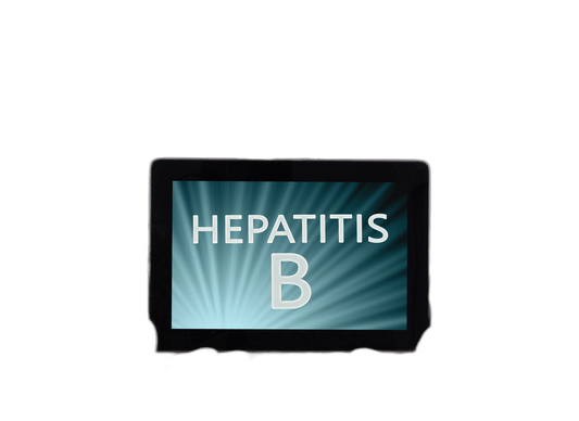 HBV Real Time PCR Quantitative Test - healthcare nt sickcare