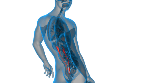 Haptoglobin Test - healthcare nt sickcare