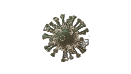 Hepatitis B Surface Antibody Test - healthcare nt sickcare