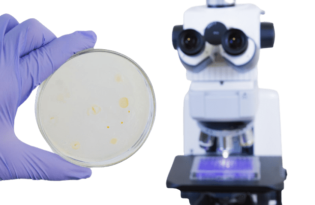 Liquid Based Cytology PAP Smear Test - healthcare nt sickcare
