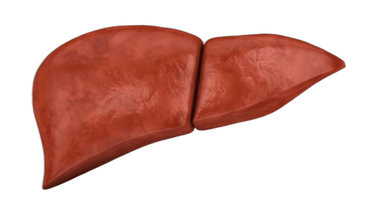 Liver Function Tests (LFT) - healthcare nt sickcare
