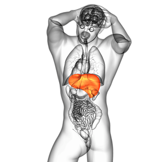 Liver Kidney Microsomes Antibodies (LKM Ab) Test - healthcare nt sickcare