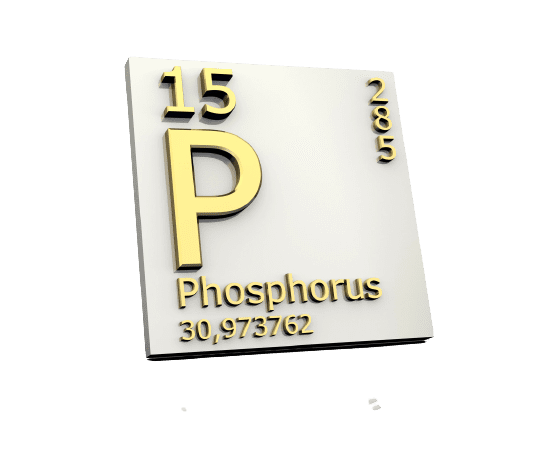 Serum Phosphorus Test