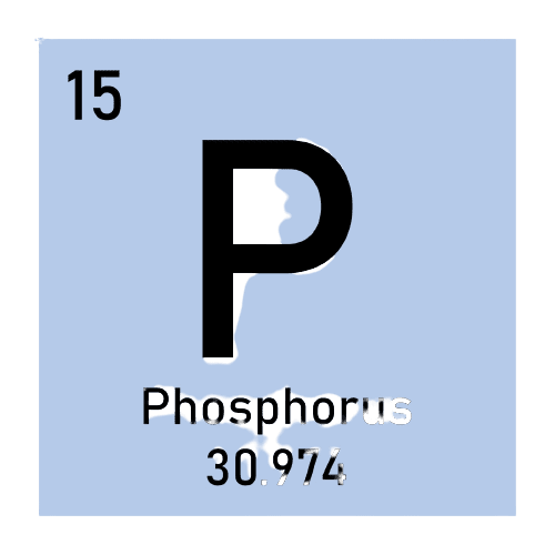 Urinary Phosphorus Spot Test - healthcare nt sickcare
