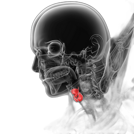 Total Thyroxine (T4) Test - healthcare nt sickcare