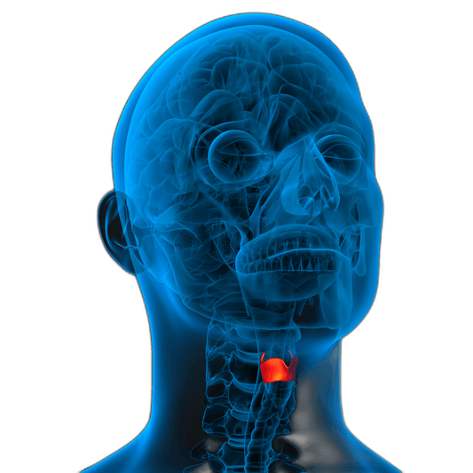 TSH Receptor Antibody Test (IgG) - healthcare nt sickcare